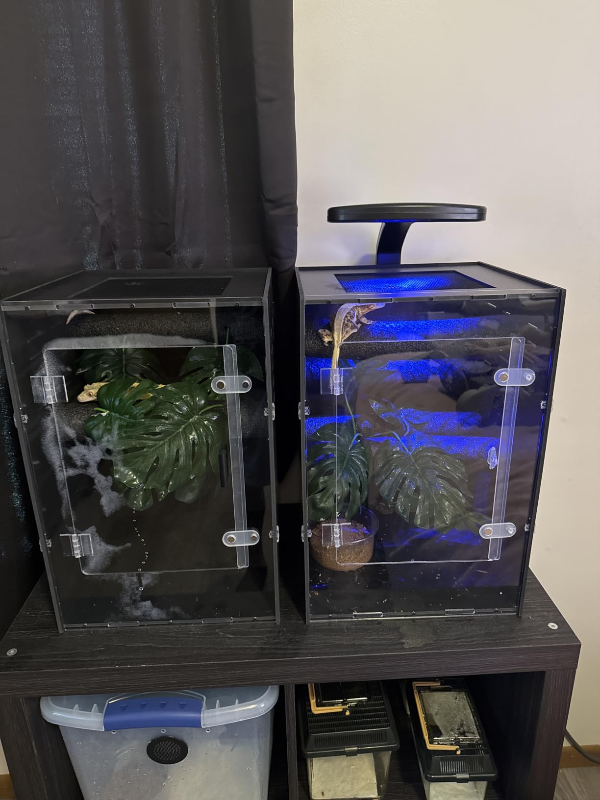 16x16x24 Black PVC Reptile Tank for Adult Reptiles, Front Opening customer photo 2