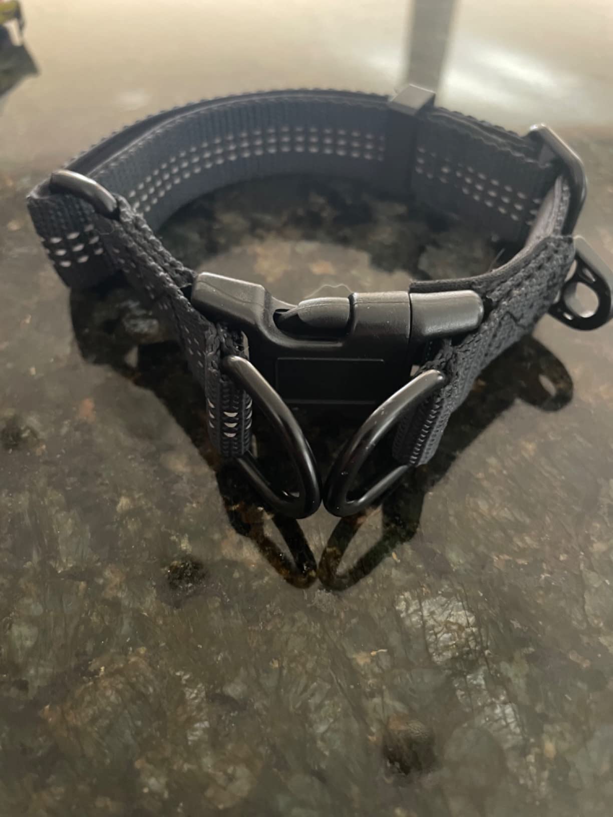 GPS Wireless Dog Fence System, No Subscription Electric Dog Collar, Circular (65-9,840 ft Radius) & Custom Boundaries, Waterproof Portable Pet Containment System for Medium & Large Dogs customer photo 2