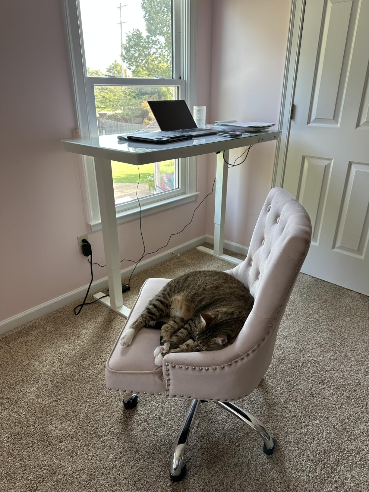 Marsail Glass Standing Desk, 55 x 28 Inch Electric Standing Desk,White customer photo 1