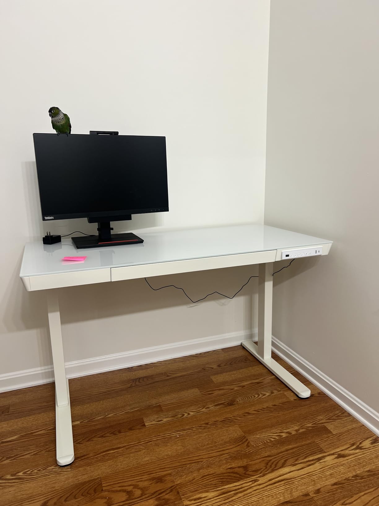 Marsail Glass Standing Desk, 55 x 28 Inch Electric Standing Desk,White customer photo 2